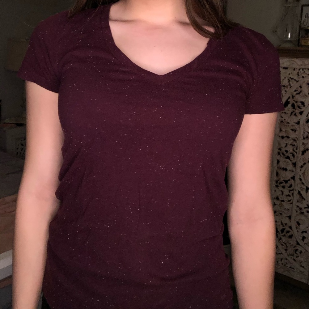 Maroon PINK Fitted V Neck